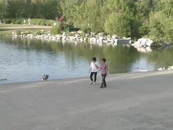 WS People strolling near lake  / Calgary, Alberta, Canada Stock Footage
