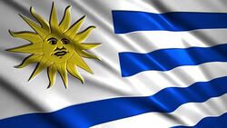 close up waving flag of Uruguay,loopable Stock Footage