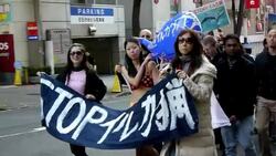 CLEAN : Activists rally against dolphin News Clip