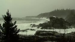 Heavy surf pounds a rocky shoreline as the wind blows trees and vegetation. Stock Footage