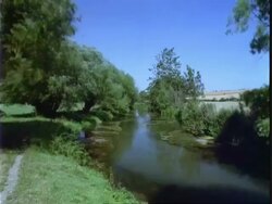 T/L river Windrush, willows on bank, locked shot Stock Footage