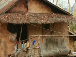 MS Shot of house made by bamboo slats woven /  Vang Vieng, Vientiane, Laos Stock Footage