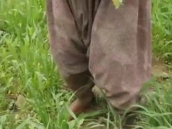Afar woman tending crops Stock Footage