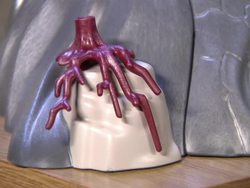 Playmobil Toy Play Sets News Clip