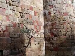 Roman towers and walls,Barcelona Stock Footage