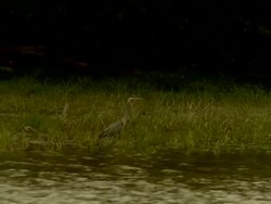 View of the river while sailing on it  Stock Footage