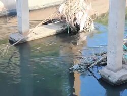 Waste water in canel Stock Footage