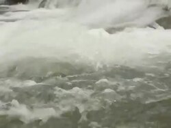 Spring Stream Stock Footage