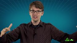 Why Don't Sharks Have Bones? Instructional Video