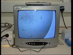 Scientists probe deadly 1918 flu virus News Clip