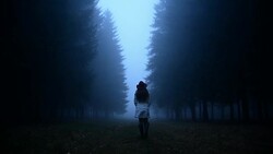Woman walking through the woods Stock Footage
