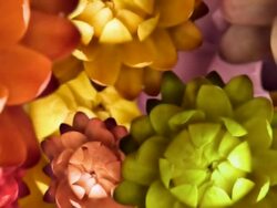 Colorful flowers Background Stock Footage