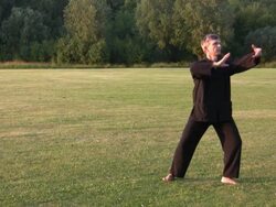 tai chi sparrows tail Stock Footage