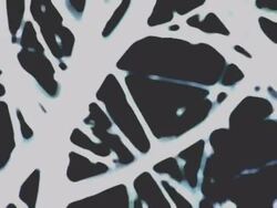 Bushes/neurons Stock Footage