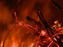 HD: Burning wood Stock Footage