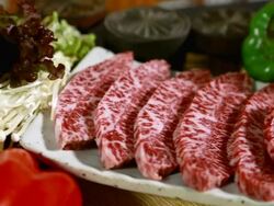 CU PAN Meat of Han-u (a breed of cattle raised in Korea) on plate with vegetables / Yeongju, Gyeongsangbuk do, South Korea Stock Footage