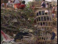 Thailand - Porters Flee To Thailand News Clip