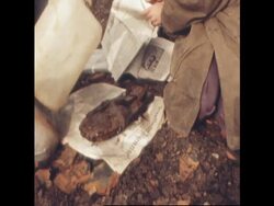 RR7652B GERMAN FOSSILS News Clip