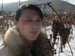 Multi million pound Chinese Ice wine industry News Clip