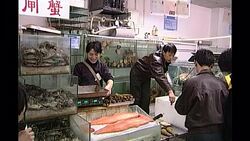 Live crab and seafood on sale at market News Clip