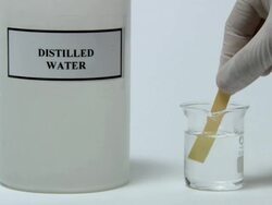 Universal indicator paper being dipped in distilled water, which is chemically neutral (neither acidic nor alkaline). Universal indicator turns yellow-green in neutral solutions Stock Footage