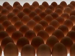 CU, Hand picking up egg Stock Footage