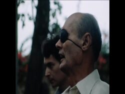 UPITN 4 12 79 MOSHE DAYAN PHOTO CALL IN GARDEN Instructional Video