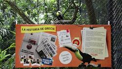 CLEAN : Toucan receives new beak made by 3D printer News Clip