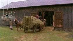 Women bringing hay into the barn by horse and cart, 1908 - reenactment Stock Footage