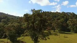 AERIAL Countryside in Costa Rica Stock Footage