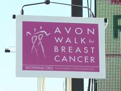 Seventh Annual Los Angeles Avon Walk for Breast Cancer Stock Footage