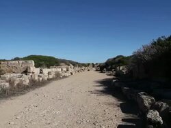 Selinunte, Acropolis, the main ancient road  Stock Footage