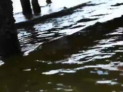 Under the Pier Stock Footage