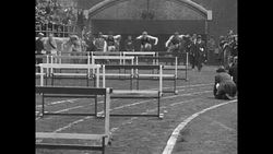 Jack Keller of Ohio State Wins hurdle race at Penn Relays in 1933 News Clip