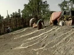 People selling ropes for camels at camel fair Stock Footage