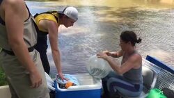 Woman saves daughter's pet chinchilla from flood Instructional Video