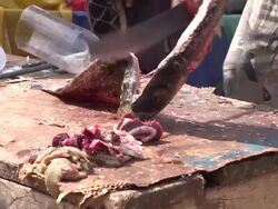 Idyllic Scenes From A Boat Ride Across The Amazon Stock Footage