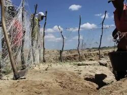 MS LA Shot of Man digging to reach water / Pilao Arcado, Bahia, Brazil Stock Footage