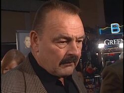 'Any Given Sunday' Premiere Stock Footage