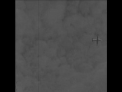 CAN 035 POLISH PRESIDENT AND PRIME MINISTER ARRIVE IN BUDAPEST Instructional Video