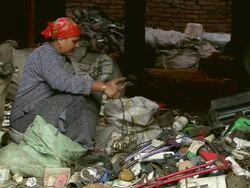 WS View of zabbaleen women sorting city rubbish to extract recyclable materials / Cairo, Egypt Stock Footage
