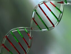 DNA Strands made of glass Stock Footage