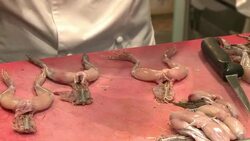 CLEAN : Japanese chefs increasingly at home with French haute cuisine News Clip