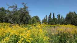 beautiful landscape Stock Footage