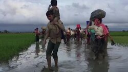 Rohingyas flee through fields into Bangladesh Instructional Video