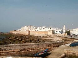 WS View of seagulls flying over near shore and buildings near shore / casablanca, centro, morocco Stock Footage