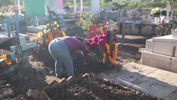 CLEAN : Mexicans remember deceased on All Souls Day News Clip