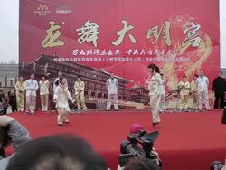 MS People showing skipping rope skill / xi'an, shaanxi, china Stock Footage