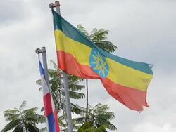 MS Flag blowing in wind / Ethiopia Stock Footage