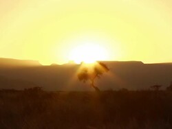 Sunrise in Africa Stock Footage